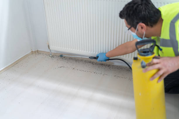 Pest Control for Restaurants in Capac, MI
